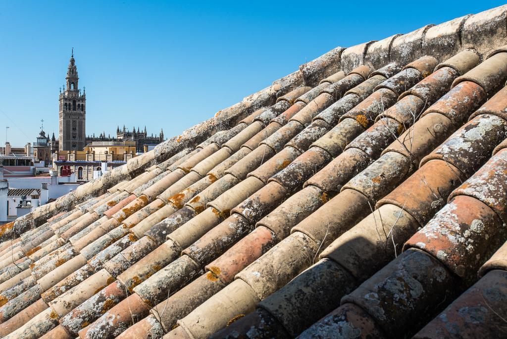 Hommyhome San Isidoro Seville