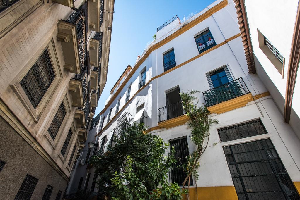 Hommyhome San Isidoro * Seville